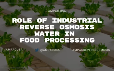 Role of Industrial Reverse Osmosis Water in Food Processing