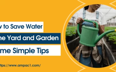 How to Save Water in the Yard and Garden- Some Simple Tips