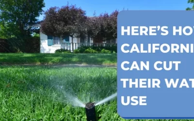 Here’s How Californians Can Cut Their Water Use